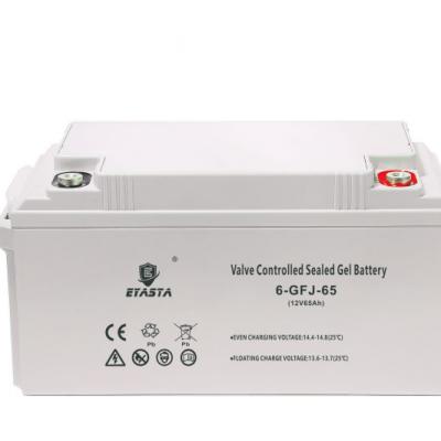 EYASTA Valve Controlled Sealed Gel Battery 12V